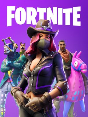 fortnite cover art
